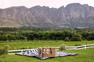 Gourmet picnics with an incredible view at Mont Rochelle Hotel.
