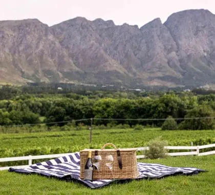 Gourmet picnics with an incredible view at Mont Rochelle Hotel.