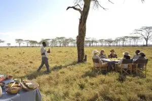 Breakfast under a Fever Tree. 