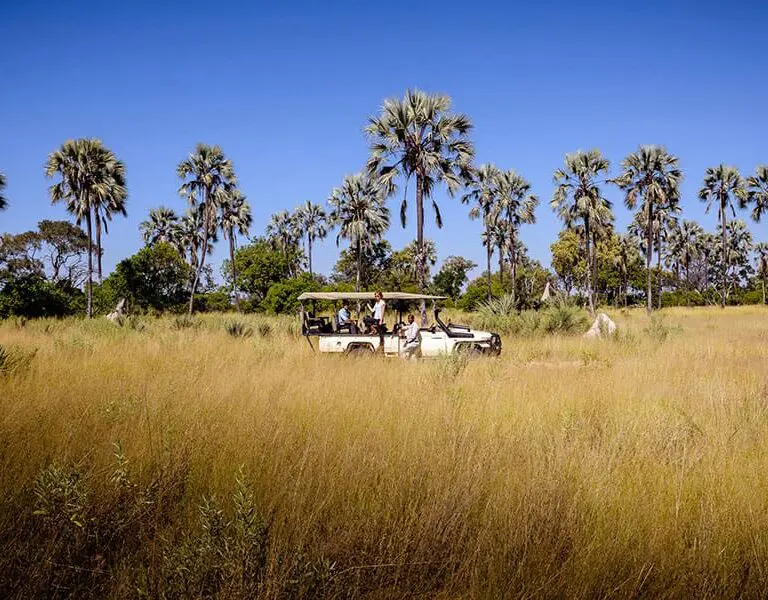 sanctuary-stanley-s-camp-game-drive-3