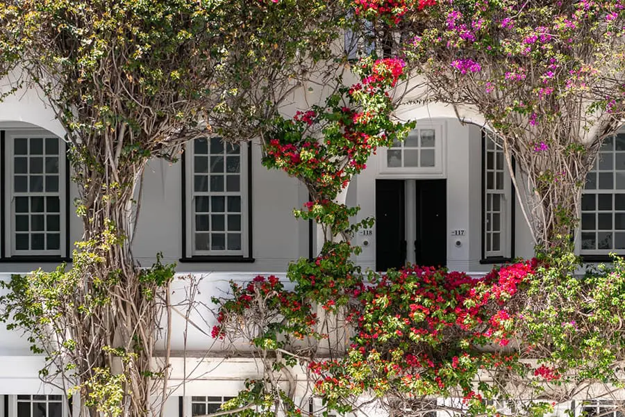 the-winchester-hotel-courtyard_1