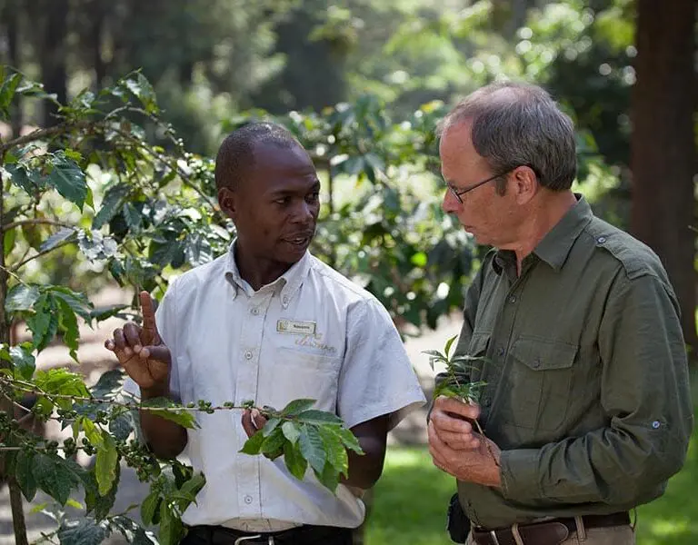 Take the 'Bean to Cup' coffee estate tour. 