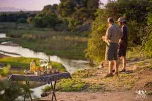 Disfrute de un atardecer en la sabana.
