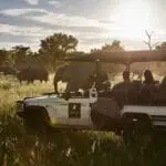 Game drives in Chobe National Park.
