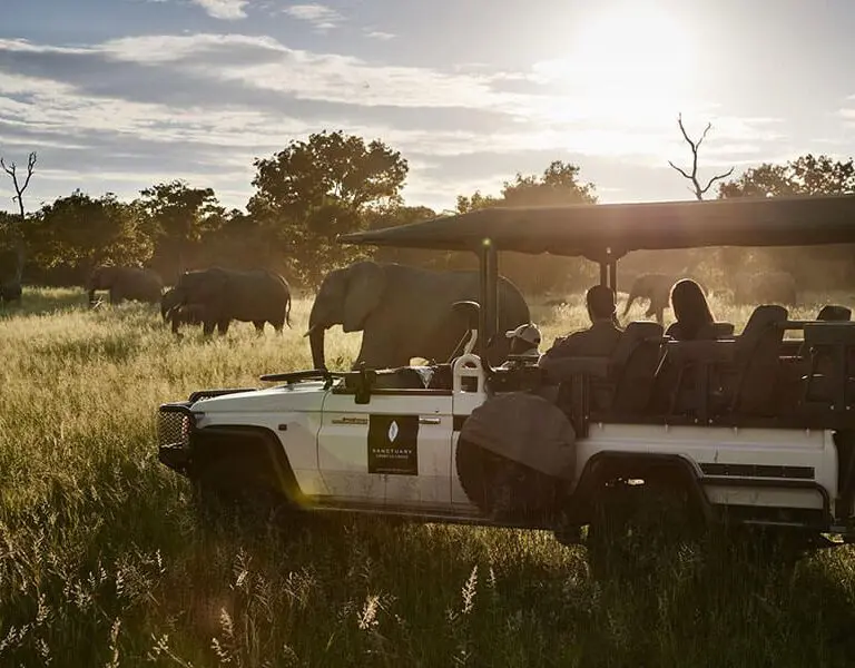 Game drives in Chobe National Park.