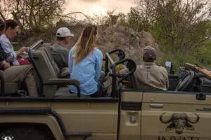 Emocionantes avistamientos de animales en safaris | Inyati