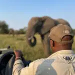 Guías y rastreadores expertos guían los safaris.