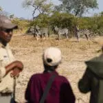 Baje el ritmo con un paseo guiado por la sabana.