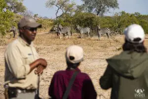 Baje el ritmo con un paseo guiado por la sabana.