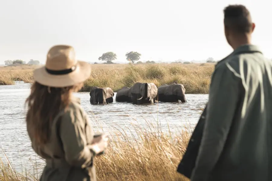 Dos personas miran de reojo a los elefantes en el agua | Go2Africa