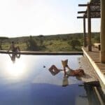 Relájese en la piscina infinita climatizada del spa del Mara Bushtops Camp. 