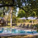 Disfrute de las instalaciones del lodge entre safaris.
