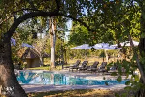 Disfrute de las instalaciones del lodge entre safaris.