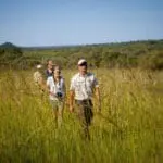 Guided bush walks in Sabi Sands Game Reserve.