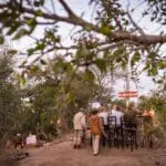Visit the Bush Bar in the evenings to drink and chat with fellow guests. 