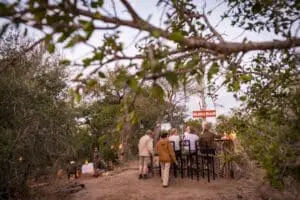 Visit the Bush Bar in the evenings to drink and chat with fellow guests. 