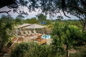 Indulge in a refreshing dip in the pool, surrounded by the tranquility of nature.