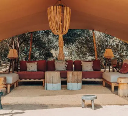 banner-wayo-manyara-green-camp-tanzania-lake-manyara-beach-main-area