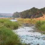 The lodge overlooks picturesque views of the Olifant's River.