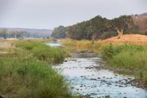 The lodge overlooks picturesque views of the Olifant's River.