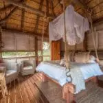 A romantic sleep-out experience beckons you to savour in nocturnal wildlife sightings. 