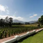 An expansive working-wine farm, right at your doorstep. 