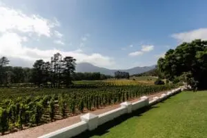 An expansive working-wine farm, right at your doorstep. 