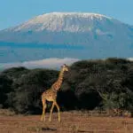 Wildlife and natural wonders | Go2Africa