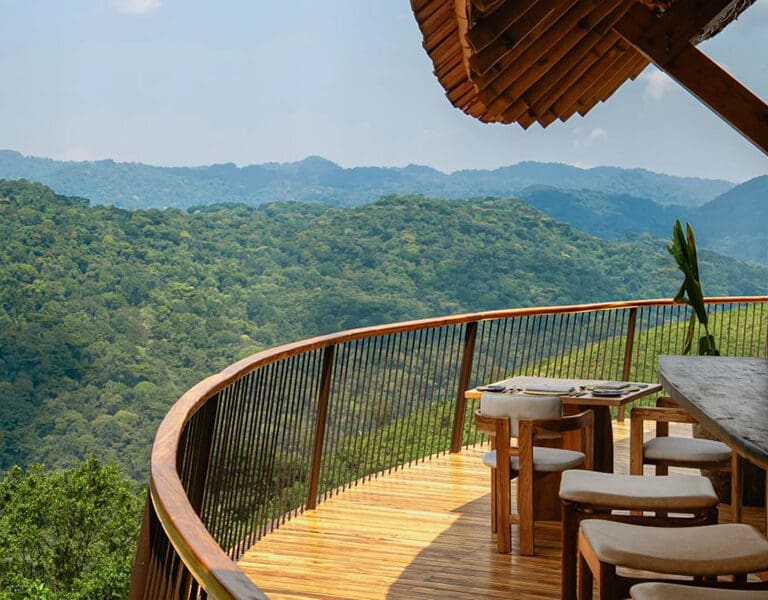 The viewing deck. 