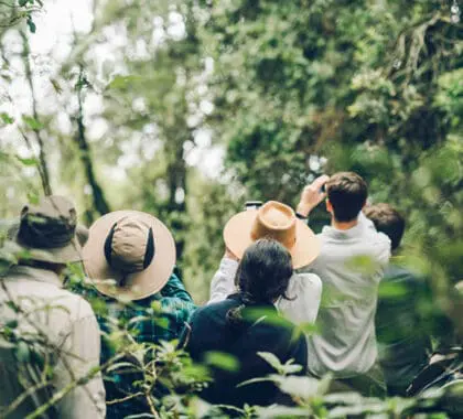 A reforestation walk and talk | Erebero Hills