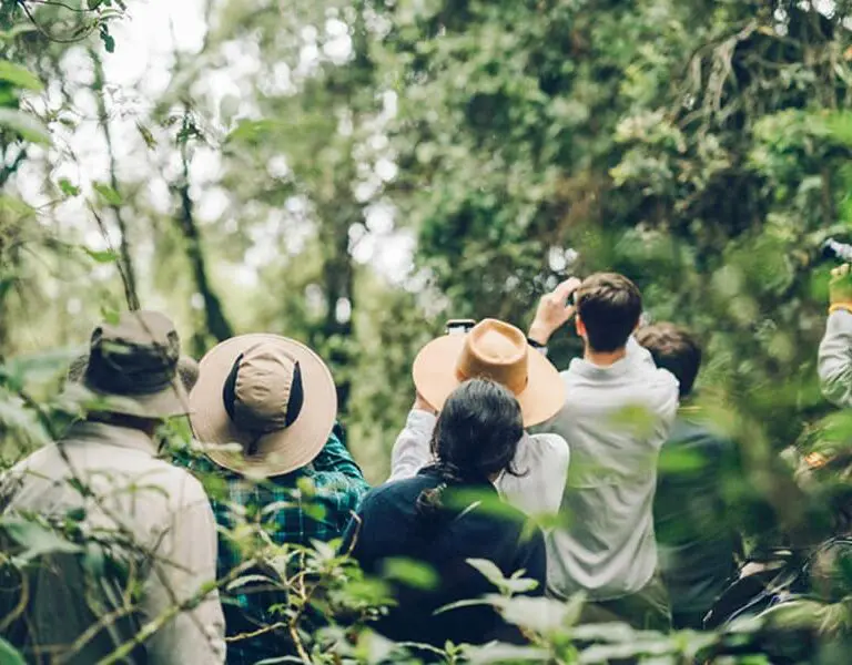 Embark on a reforestation walk and talk through Bwindi | Erebero Hills