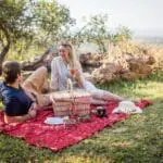 Book a romantic couples' picnic by a pond, frequently visited by birds, creating a soothing ambiance.