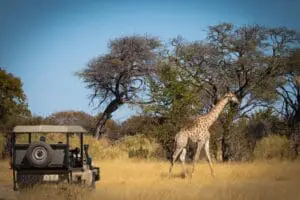 Game drives will see you exploring the depths of this private concession, ticking off must-see wildlife from your bucket list. 