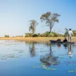 Seasonal mokoro excursions will see you exploring the Delta's waterways. 