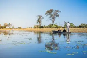 Seasonal mokoro excursions will see you exploring the Delta's waterways. 