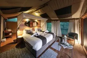 Each tent offers luxury comforts. 