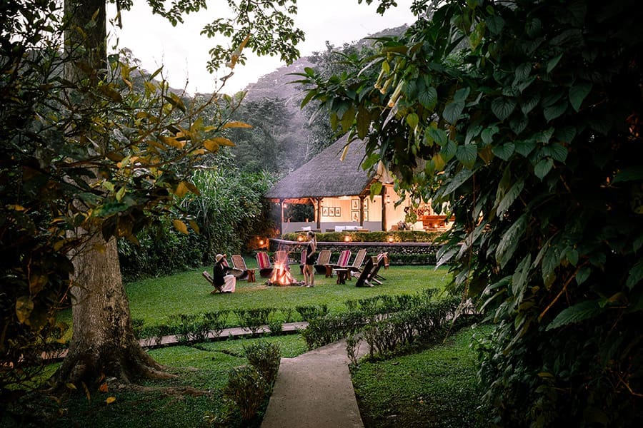 Estancia de lujo en el Sanctuary Gorilla Forest Camp, Uganda | Go2Africa