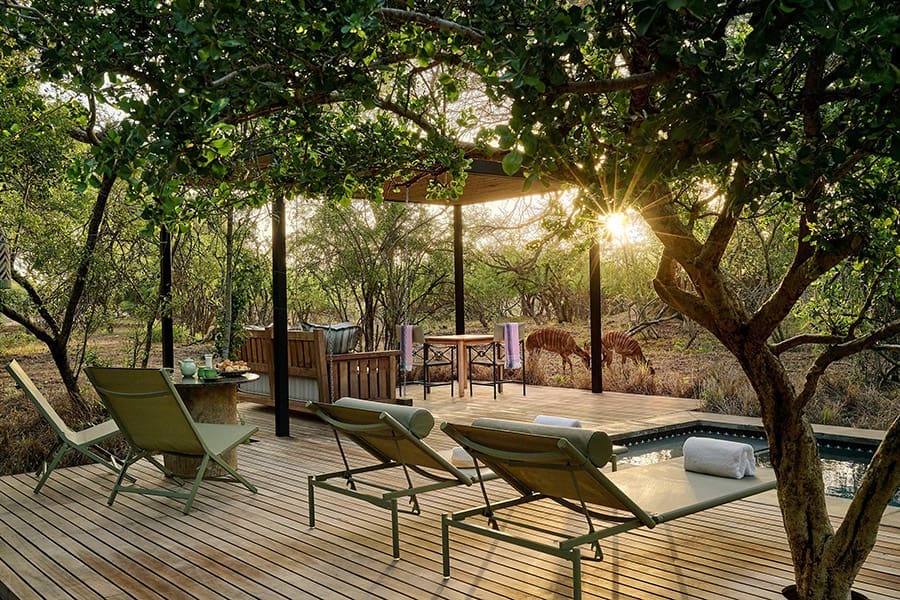 waterside-at-royal-malewane-waterside-house-pool