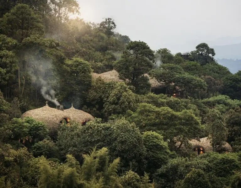 These thatched Forest Villas blend in with the landscape.