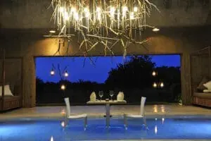 sabi-sabi-earth-lodge_day-bar