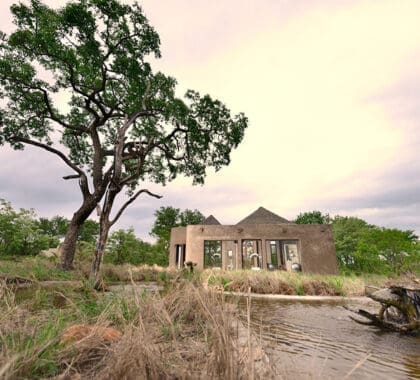 sabi-sabi-tierra-lodge_exteriores