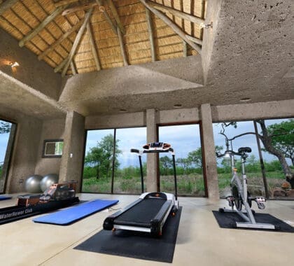 sabi-sabi-tierra-lodge_gimnasio