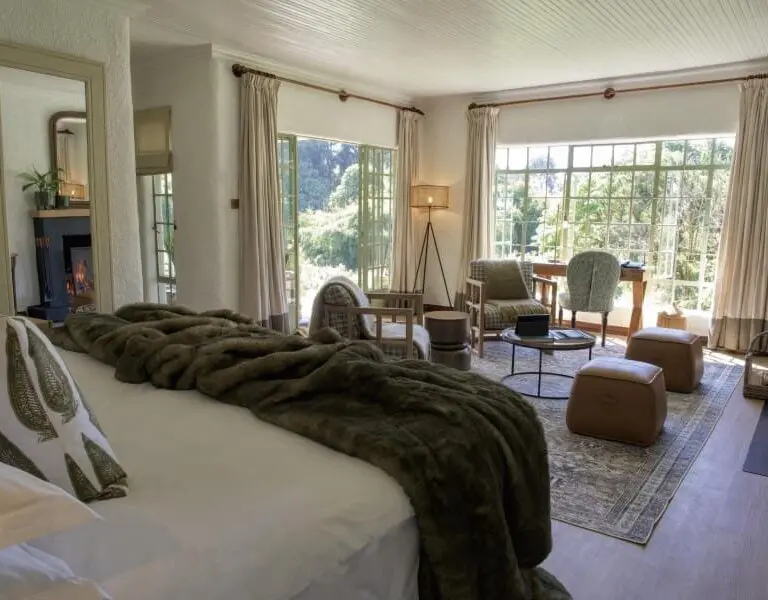 A luxury room with views of the forest. 