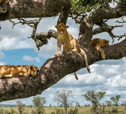 Los lugares más remotos de África que merece la pena visitar