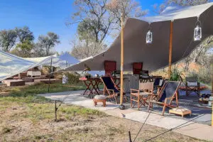 Zona principal del campamento de época Feline Fields.