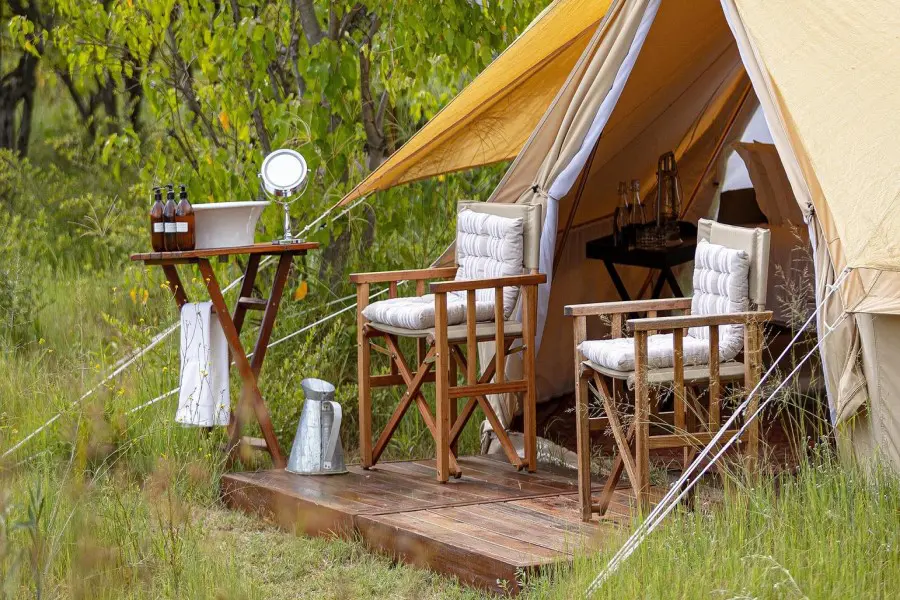 feline-fields-vintage-camp-deck-3