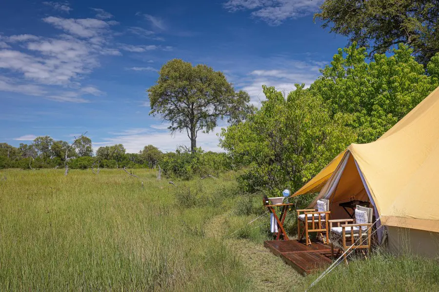 feline-fields-vintage-camp-deck