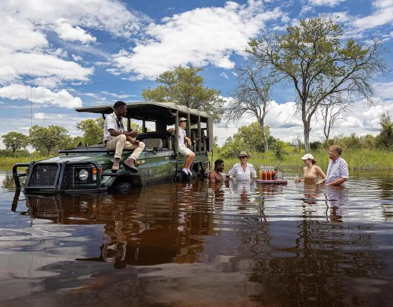 Feline Fields goes the extra-mile to ensure unforgettable safari adventures.