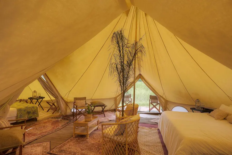 feline-fields-vintage-camp-interleading-rooms