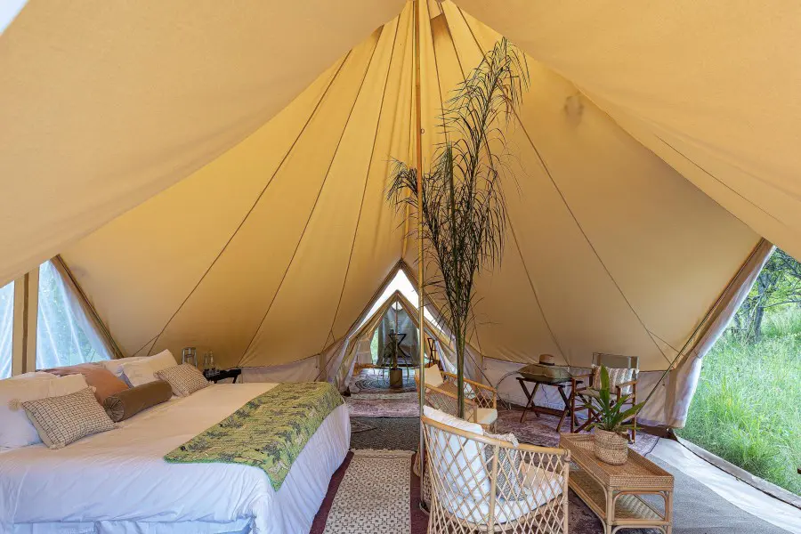 feline-fields-vintage-camp-luxury-tent